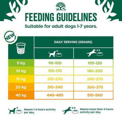 James Wellbeloved Dog Adult Hypoallergenic Dry Food Grain Free - Sayby’s
