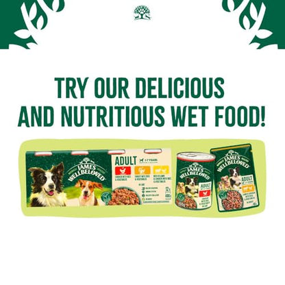 James Wellbeloved Dog Adult Hypoallergenic Dry Food Grain Free - Sayby’s