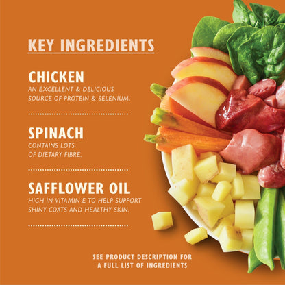Lily's Kitchen Natural Adult Wet Dog Food Tins Grain-Free Recipe Variety pack 400g - Sayby’s