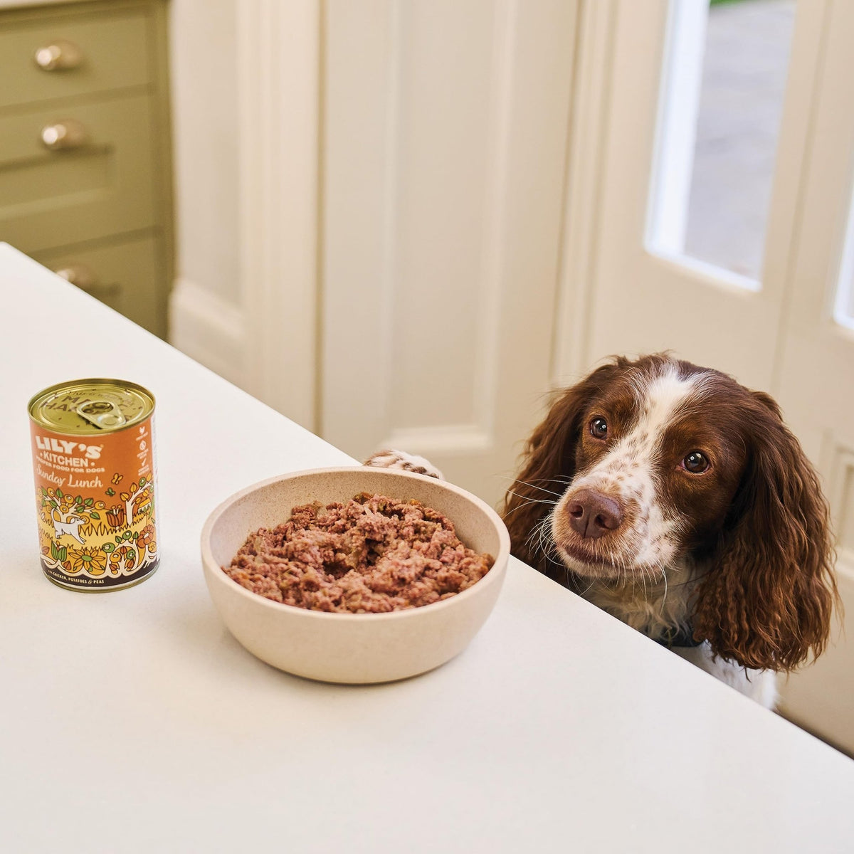 Lily's Kitchen Natural Adult Wet Dog Food Tins Grain-Free Recipe Variety pack 400g - Sayby’s
