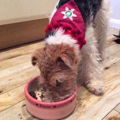 Medium Dog Bowls
