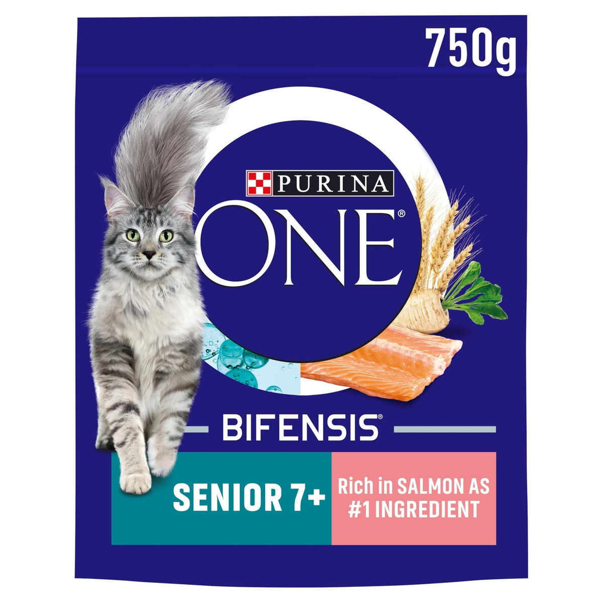 PURINA ONE | Dry Cat Food - Sayby’s