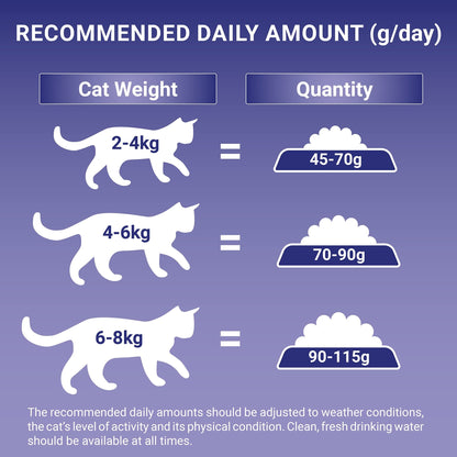 PURINA ONE | Dry Cat Food - Sayby’s
