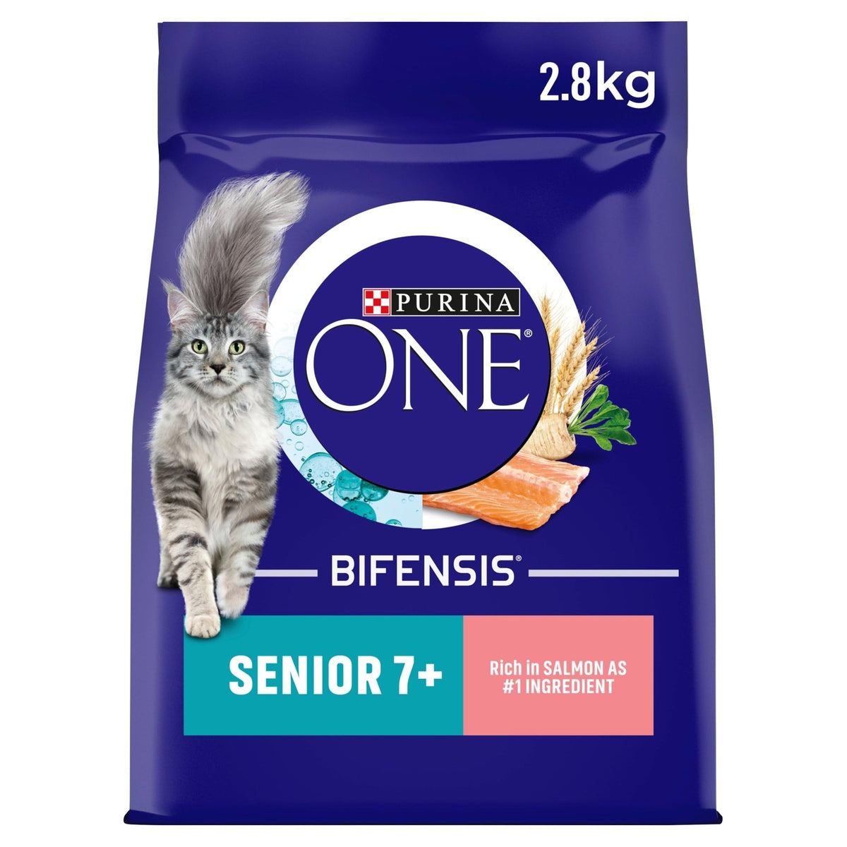 PURINA ONE | Dry Cat Food - Sayby’s