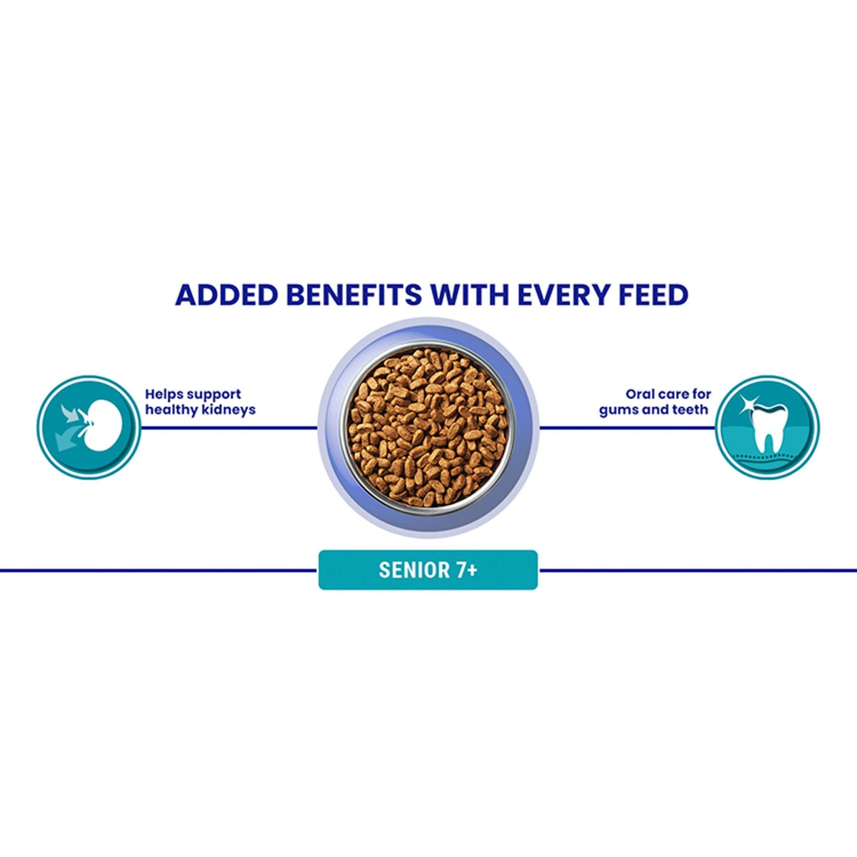 PURINA ONE | Dry Cat Food - Sayby’s
