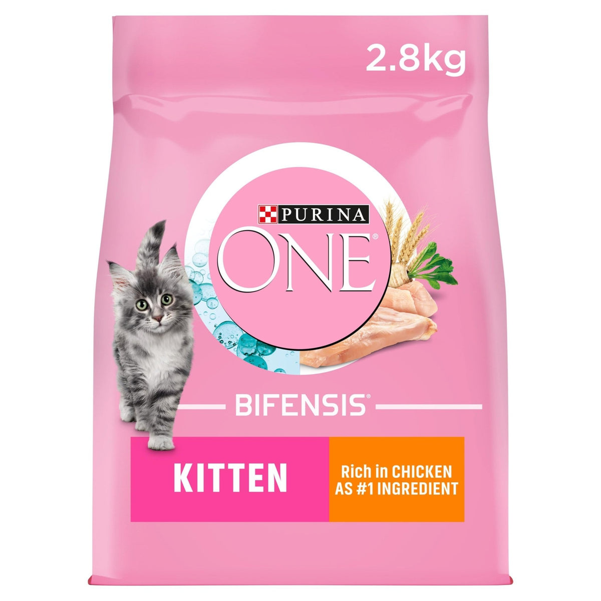PURINA ONE | Dry Cat Food - Sayby’s
