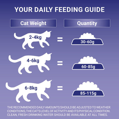 PURINA ONE Dry Cat Food - Sayby’s