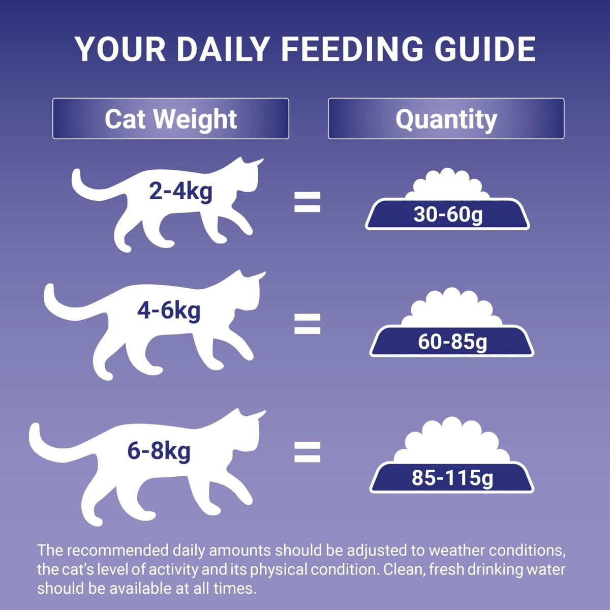 PURINA ONE Dry Cat Food - Sayby’s