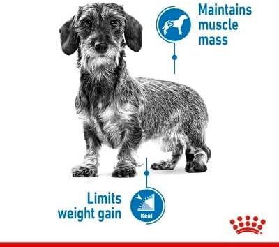 Royal Canin Light Weight Care Adult Dog Wet Pouches 85g - Sayby’s