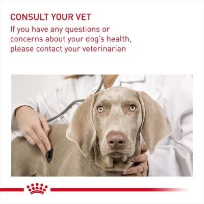 Royal Canin Light Weight Care Adult Dog Wet Pouches 85g - Sayby’s