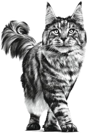 Royal Canin Satiety Cat Food, 1.5 kg - Sayby’s