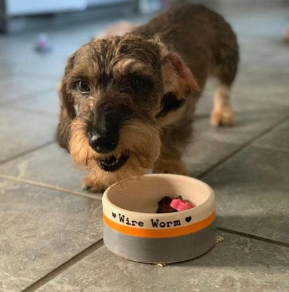 Small Dog Bowls